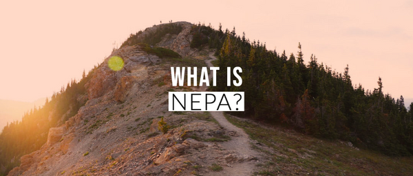 What is NEPA?