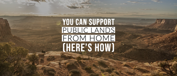You Can Support Public Lands From Home (Here's How)
