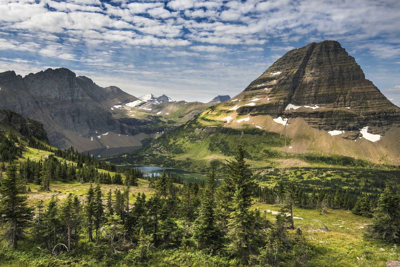 View of green trees and snowy mountains at Glacier National Park.